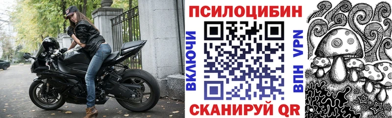 купить наркотики цена  Котовск  Псилоцибиновые грибы мицелий 